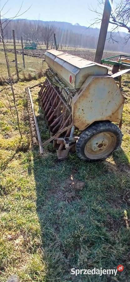 Siewnik poznaniak Pilzno