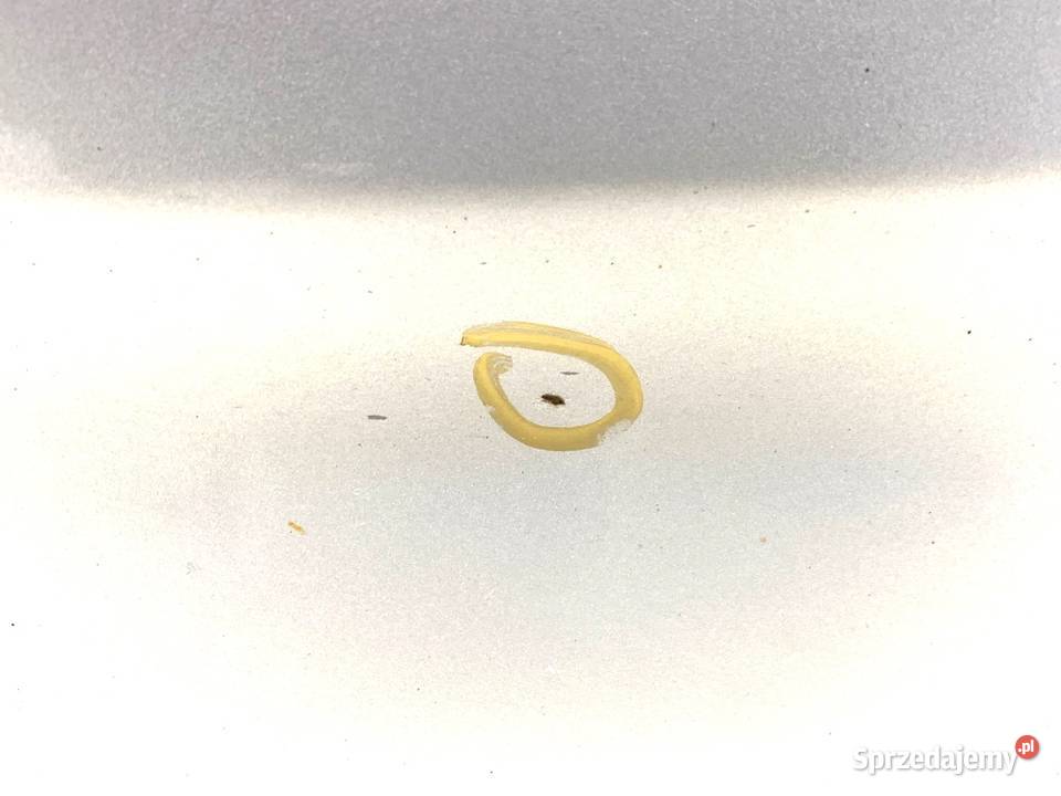 DRZWI LEWY TYŁ TOYOTA COROLLA E13 Hatchback 0409