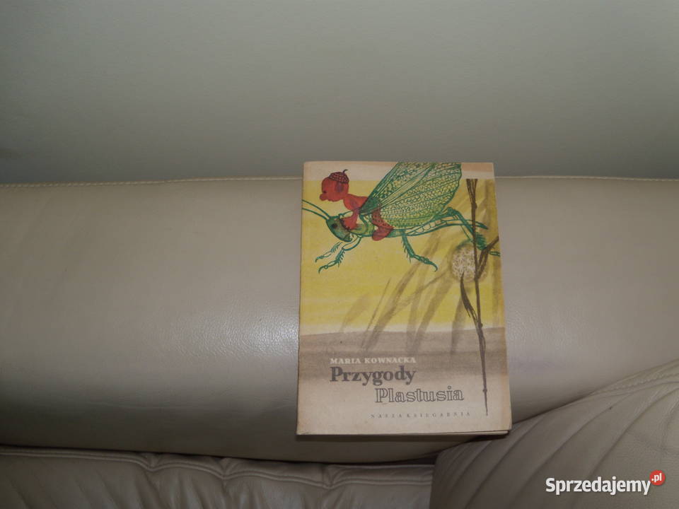 Przygody Plastusia Maria Kownacka Rok wydania 1957 Kultura i Rozrywka Warszawa