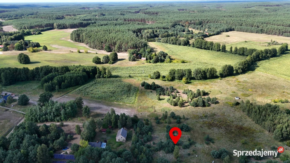 Działka w lesie 3006 m pozwolenie na budowę Piłka