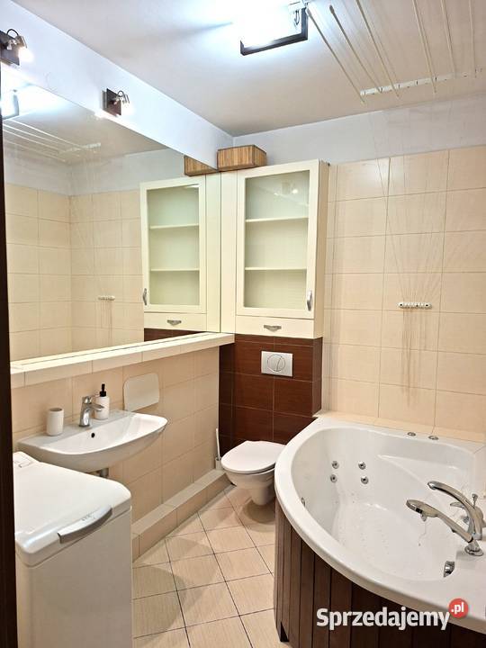 Kawalerka do wynajęcia Liczba pokoi 1 Poznań