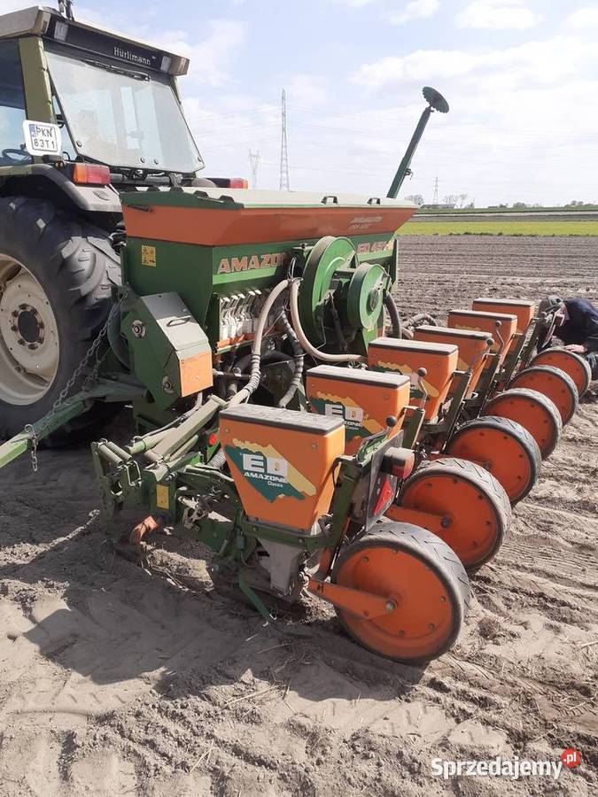 Siewnik do kukurydzy Amazone ED 451K 6 Becker Ślesin