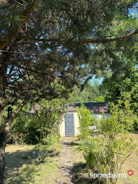 Duża działka ROD Radość 305 m Działki 257 i 258 Dąbrowa Górnicza