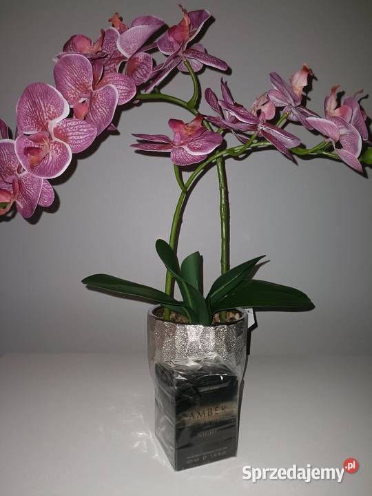 Woda perfumowana Amber Elixir Night Oriflame śląskie Ruda Śląska