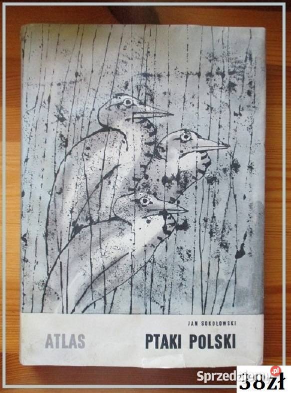 Atlas Ptaki Polski JSokołowski ptaki przyroda biologia, ekologia Książki i Podręczniki Łódź
