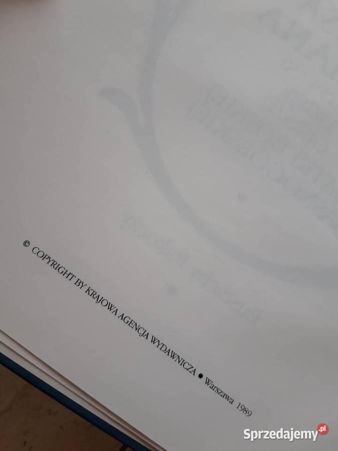 Malowane dzieje obrazu Matki Boskiej Bielsko-Biała sprzedam