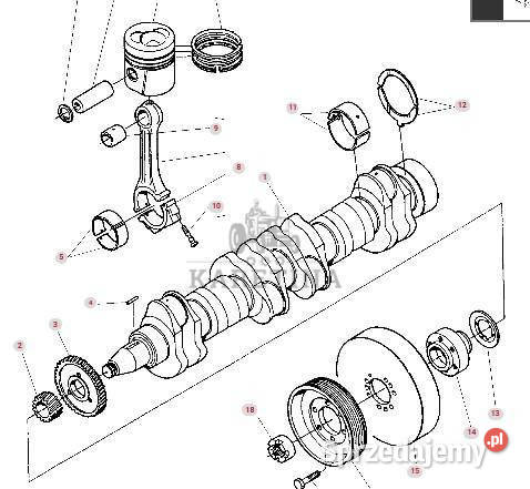 Massey Ferguson Cerea 7272 7274 7276 AL Wał wielkopolskie