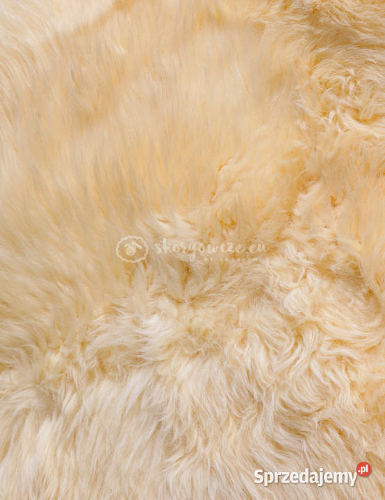 Naturalna Skóra owcza medyczna relugan długi Szaflary