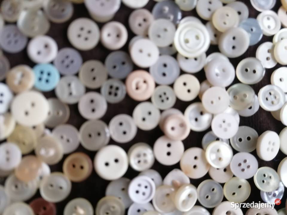 Guziki białe koszulowe 550 sztuk łódzkie Łódź