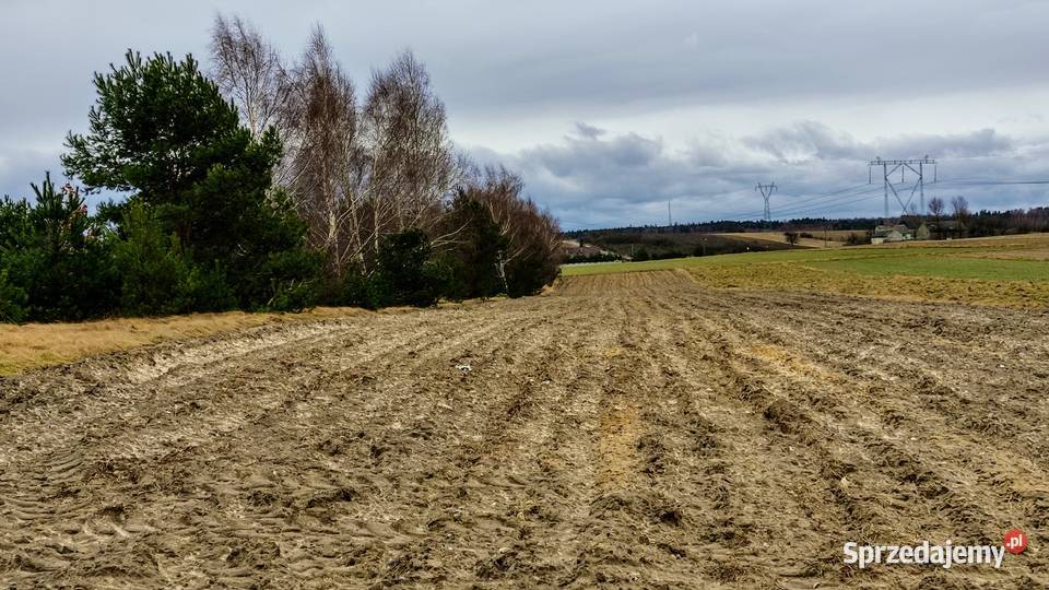 Działka rolnobudowlana Małusy Małe