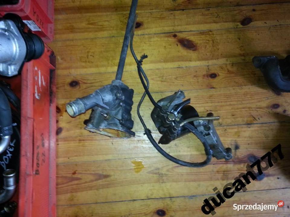 obudowa termostatu ssang yong musso korando 29td dolnośląskie