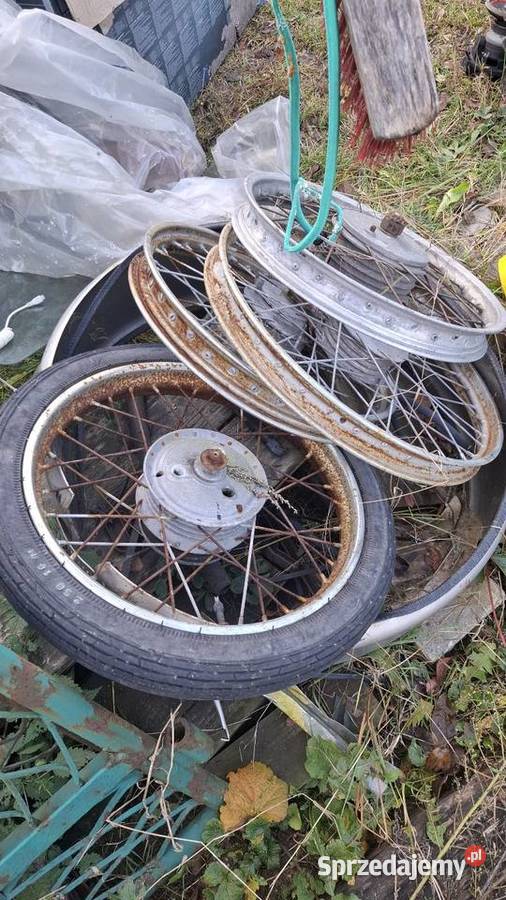 Jawka śląskie Starcza