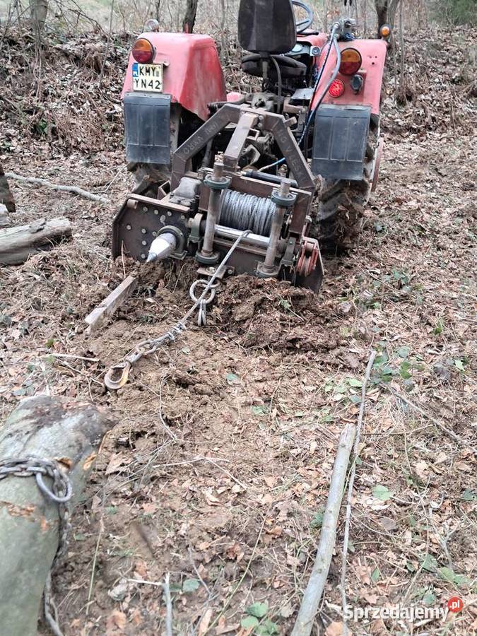 Wyciagarka star lesna lebiotka