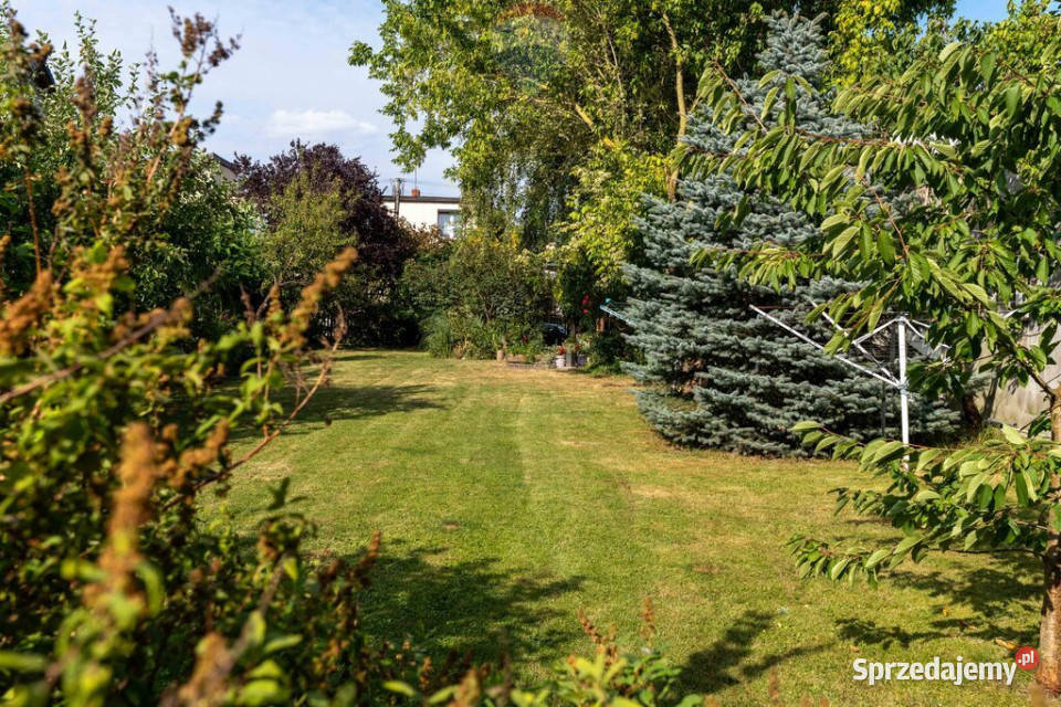 Rokietnica potencjał na dom i firmę duży ogród sprzedam