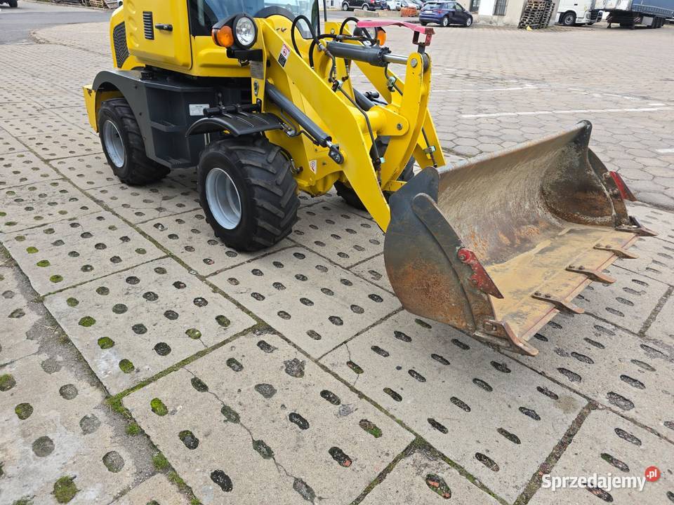 ŁADOWARKA KOŁOWA HYTEC ZL10 2019R 611 MOTOGODZIN Kórnik