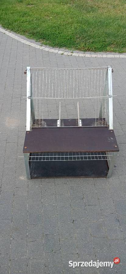 Sprzedam wlot belgijski Ptaki