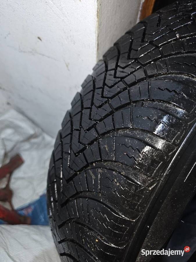 Opony całoroczne MS Laufenn G Fit 4S 17565R15 84 Syców