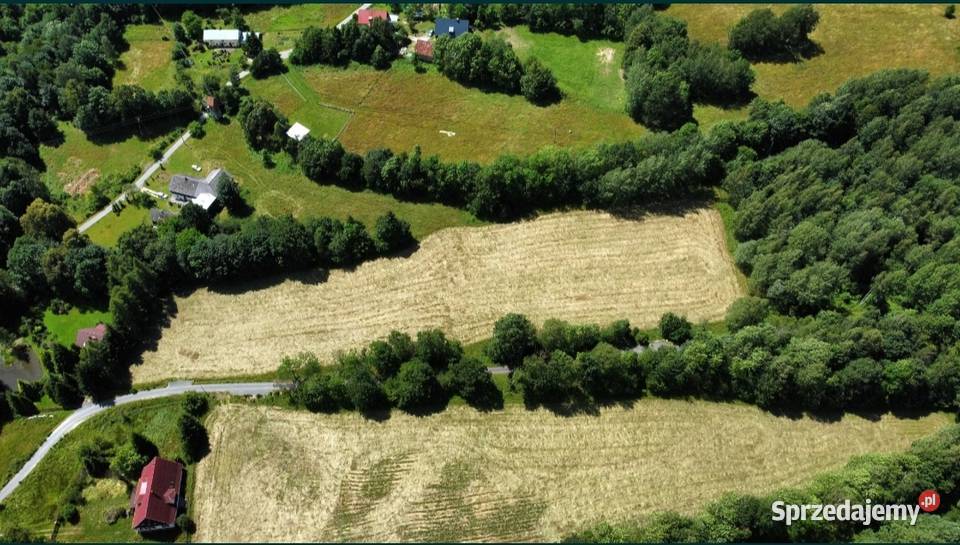 działki z warunkami zabudowy Polanica Zdrój dolnośląskie Paszków