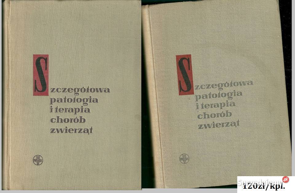 Choroby pszczół Choroby i szkodniki Łódź
