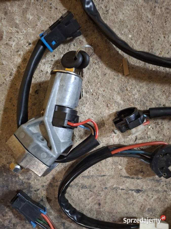 Polonez kostka stacyjki Żory