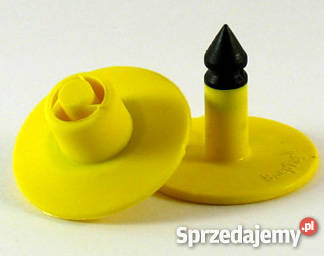 spinki do kolczyków Kielce sprzedam