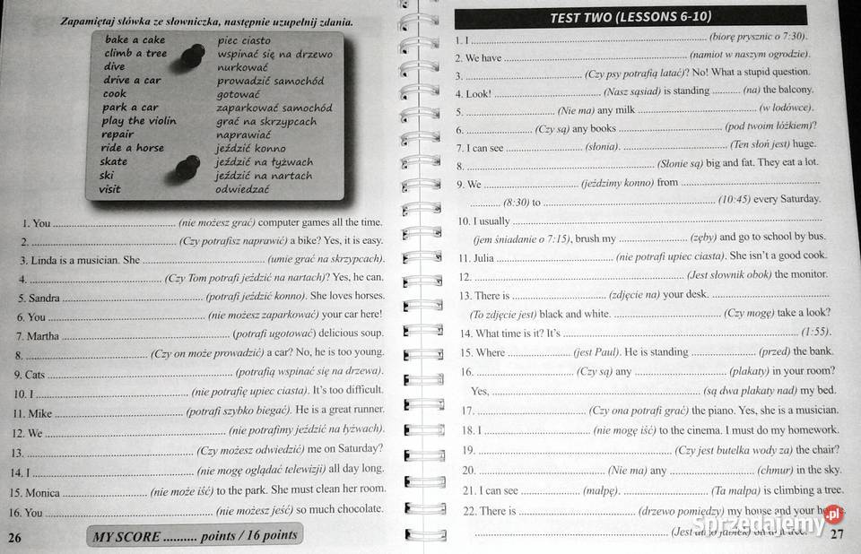 Mistrz angielskiego kurs kl 46 Piotr Dwornik sprzedam