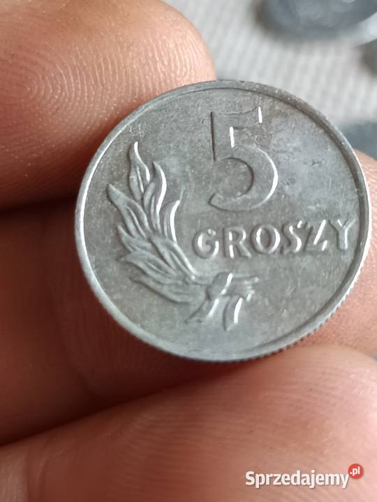 Sprzedam 5 groszy 1949 mmmm