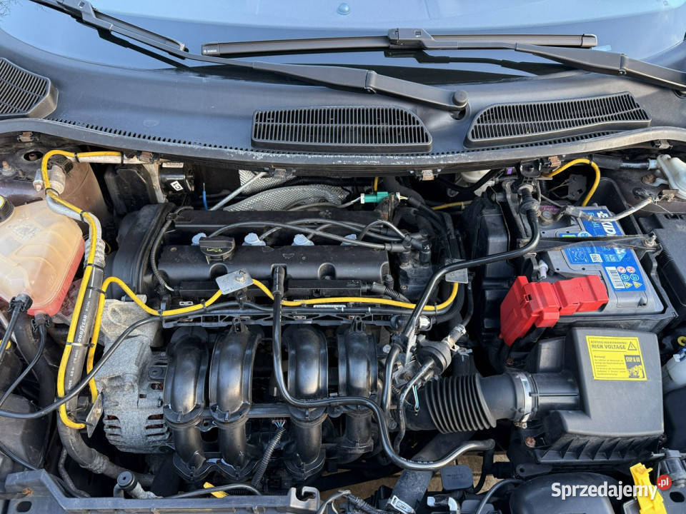 Ford Fiesta nowa Niski oryginalny przebieg Mk7 Fiesta Poznań