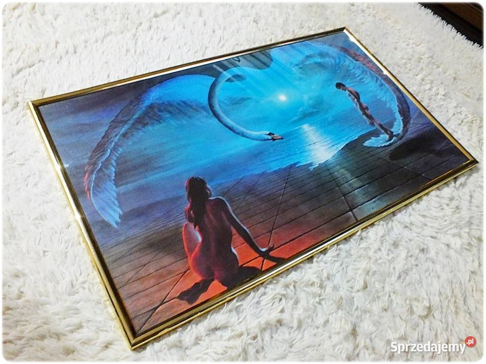 Duży Obraz Skrzydła miłości Stephena Persona z Żary sprzedam