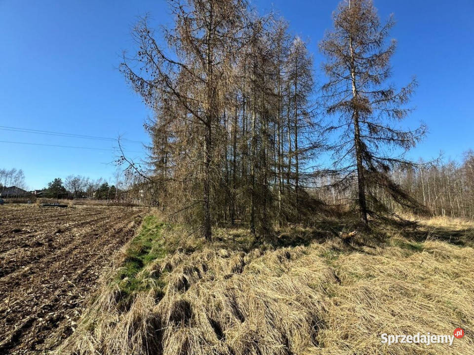 Działka budowlana 5436 m Łuków Śląski budowlana śląskie