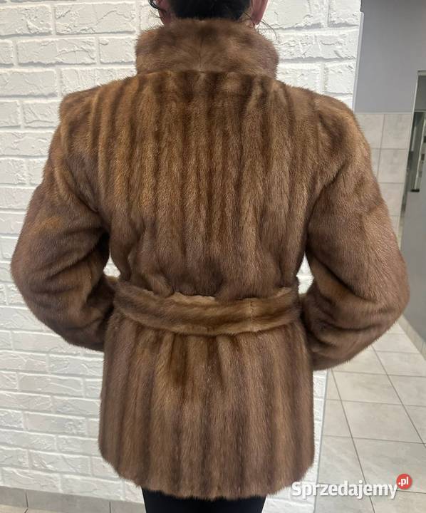 Sprzedam kurke 34 biszkopt zachodniopomorskie Dębno