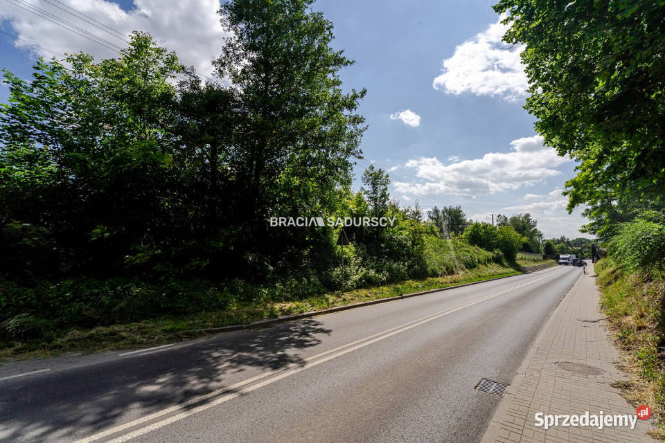 Działka Aleksandrowice 4600m2 641zł/m2 Sprzedaż