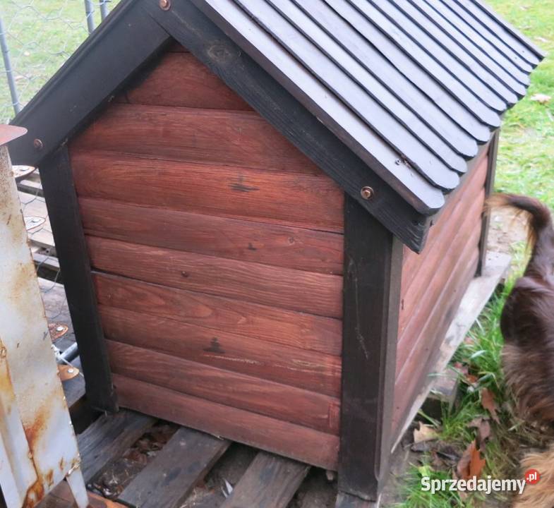 buda psa nowa Niemce