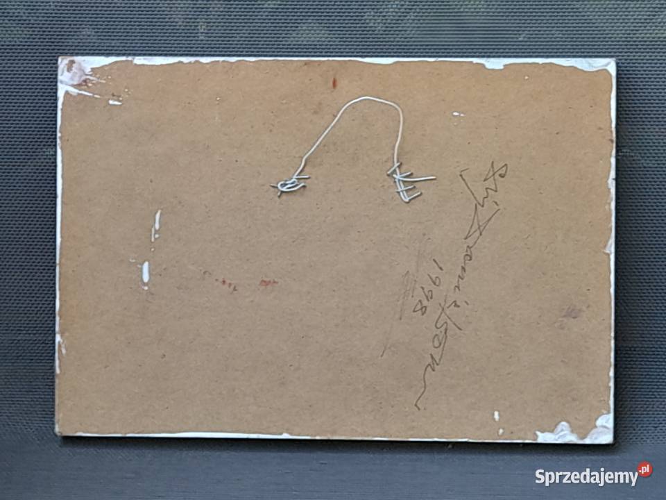 Winogrona obraz olejny na gipsowej płycie mazowieckie Iłża sprzedam