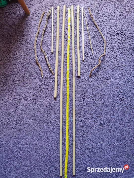 Terrarium kameleona z wyposażeniem Lubin