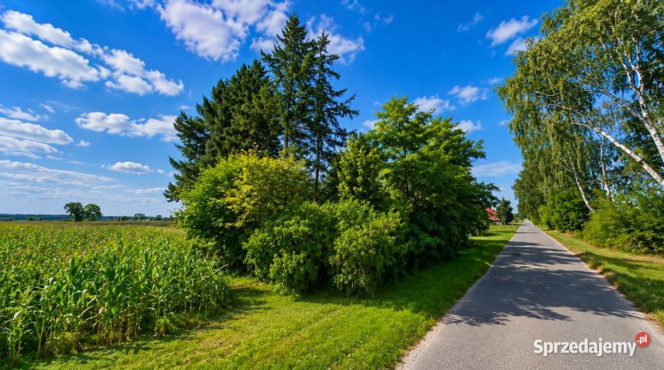 Działka rolnobudowlana Borek Kępno