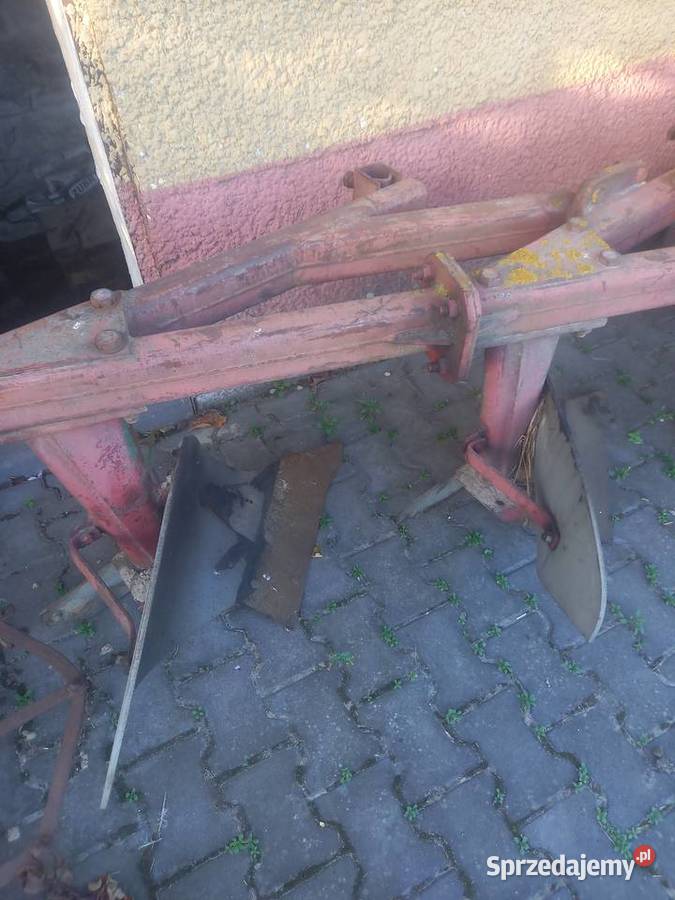 Pług 31 4 skibowy Gnojno sprzedam