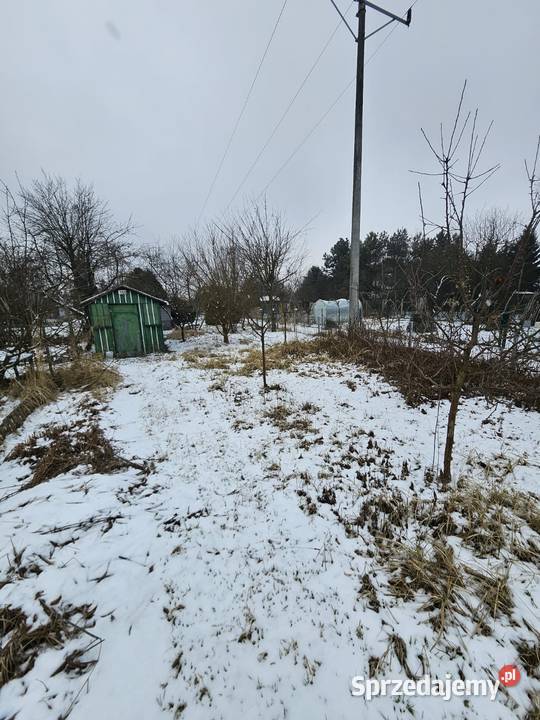 Sprzedam ogrodek Wrocław