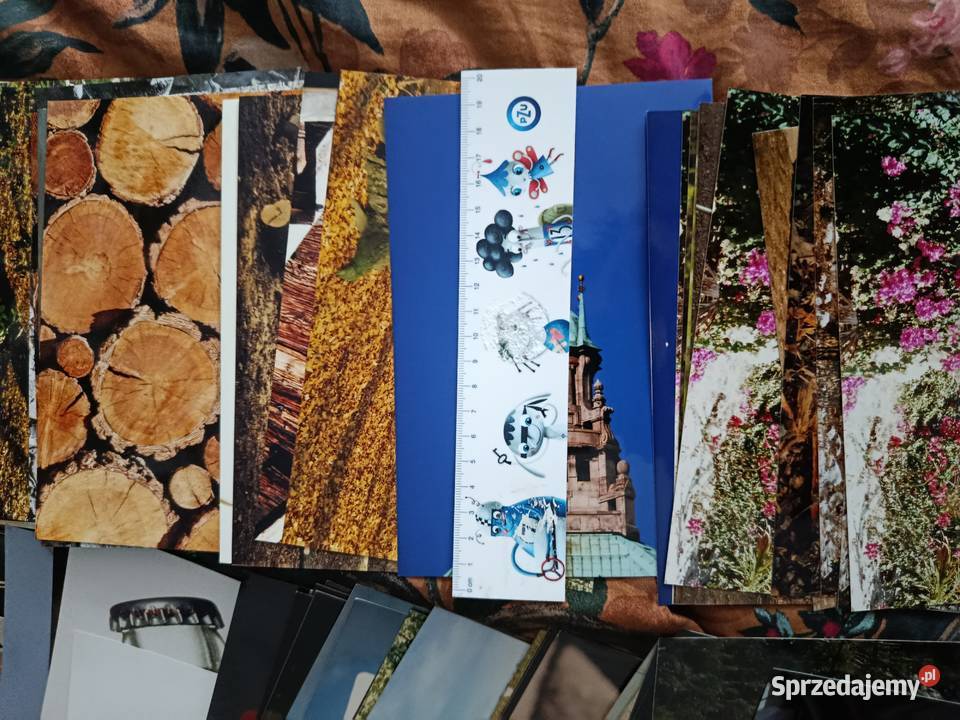 Zdjęcia a4a3 90 natura rzeczy figury zwierzęta Choszczno