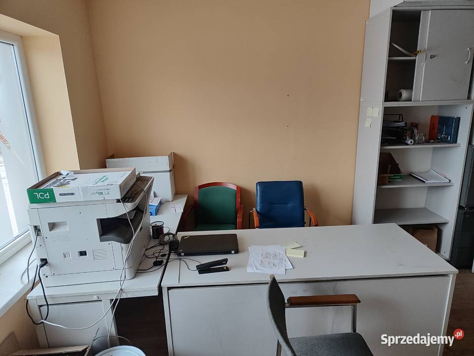 Hala magazynowo produkcyjna Wynajem Września