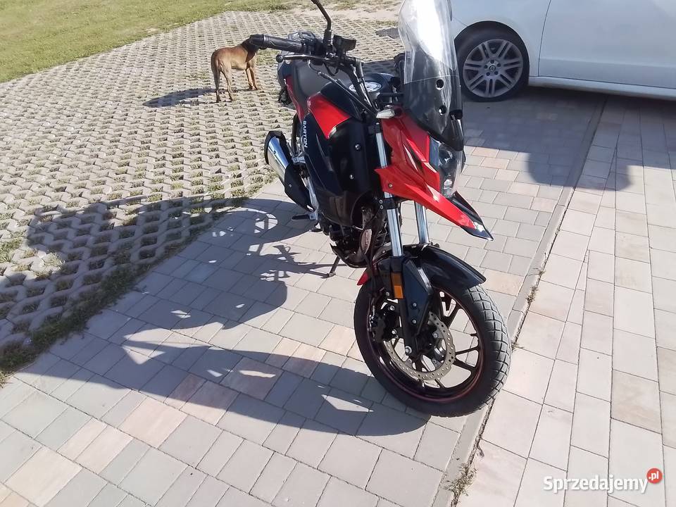 Barton GT 125 warmińsko-mazurskie Jesionowo