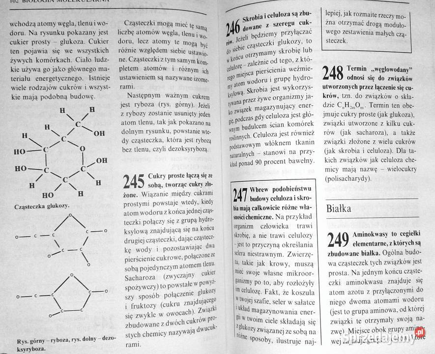 1001 spotkań z nauką James Trefil lubelskie