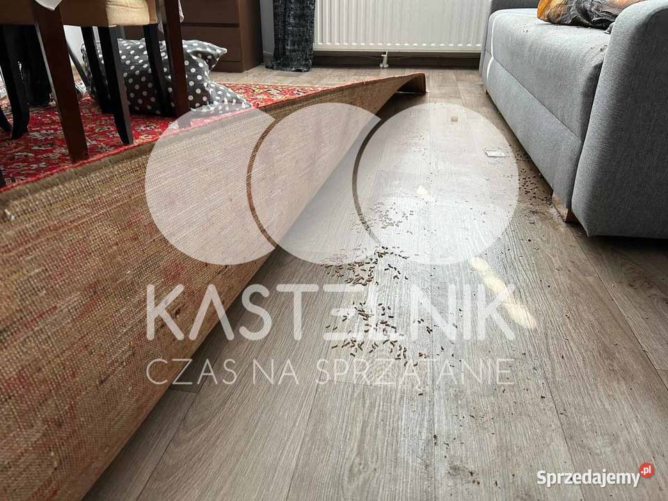 Dezynfekcja i sprzątanie zgonach Muszyna