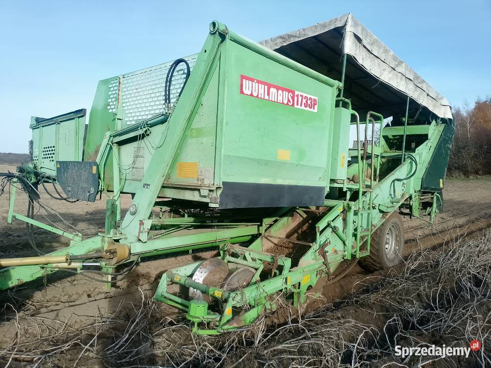 Kombajn wuhlmaus 1733 Rolki sortujące sortownia Bytom Odrzański