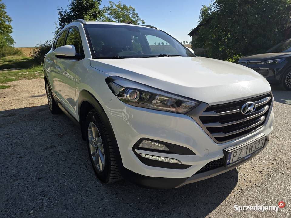 Hyundai Tucson świętokrzyskie Jędrzejów