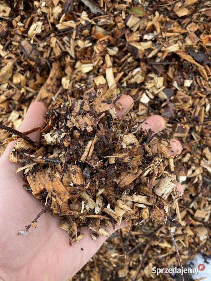 Sprzedam zrębkę do opału pod krzewy Białobrzegi