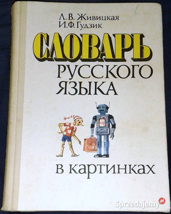 Russkij Jazyk w kartinkach Slowar Język rosyjski lubelskie Chełm