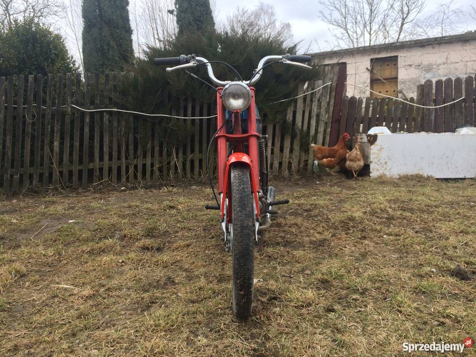 Happy Ogar 200 Niezawodny Płock