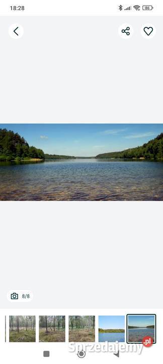 Sprzedam las Bartoszylas gm Stara Kiszewa Elbląg