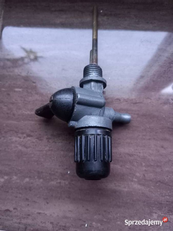 Kranik junak komar sztywniak Sokołów Podlaski